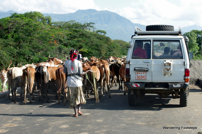 Ethiopian traffic jam!