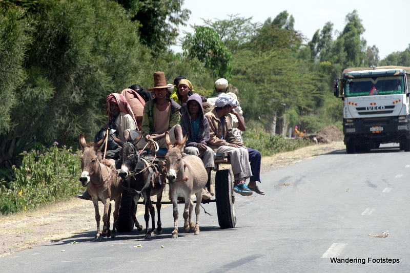 The main mode of transportation on the roads of Ethiopia.