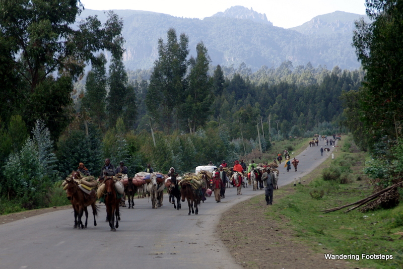 Locals going to market on their horses and donkeys.