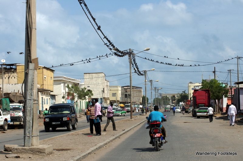 Crows in Djibouti City.