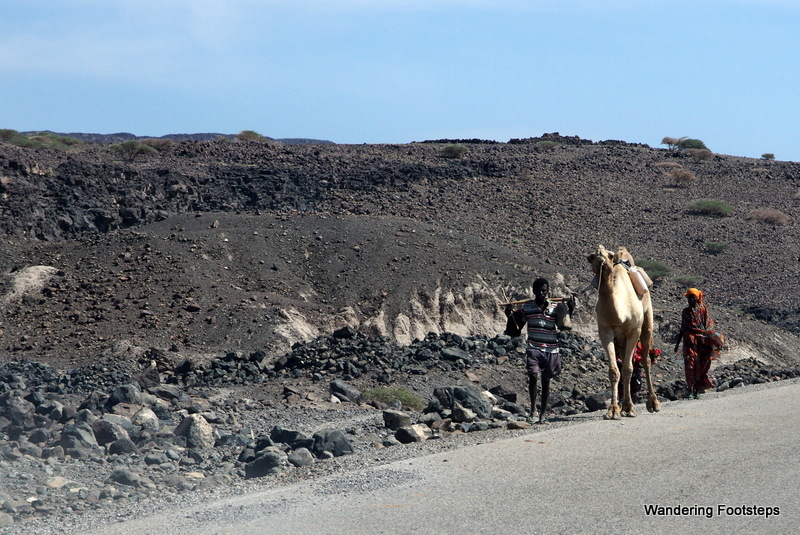 Afar nomads, their camels, and volcanic rock.