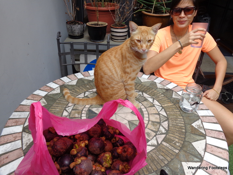 The best things about Singapore - mangosteens, Kitty, and Alex!