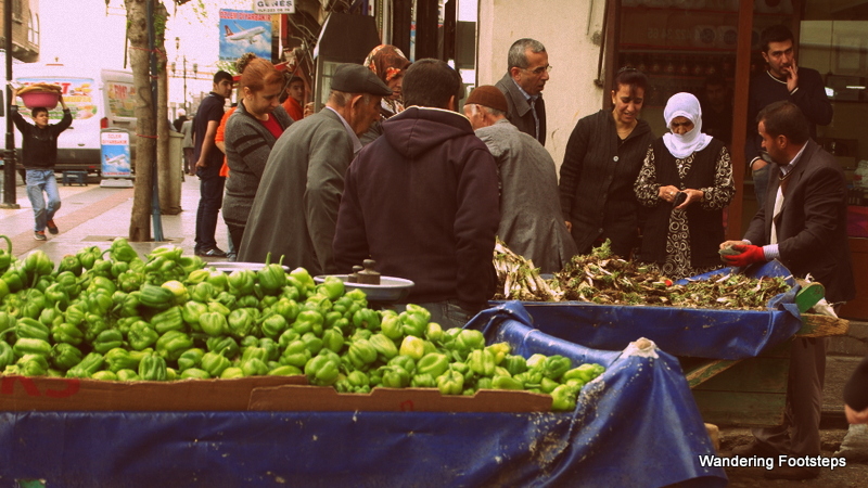 Not one of these people spoke a word of English when Bruno approached, asking the price of the veggies for sale.  Good thing I've been practicing my Turkish!