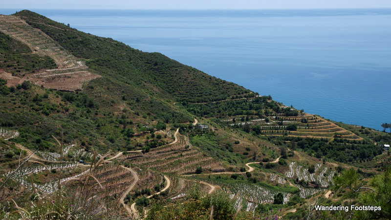 Coastal villages with terraced gardens.