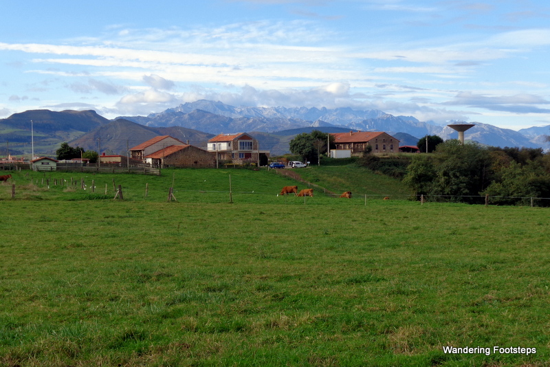 Lovely countryside, with the Picos de Europa mountain range in the distance.