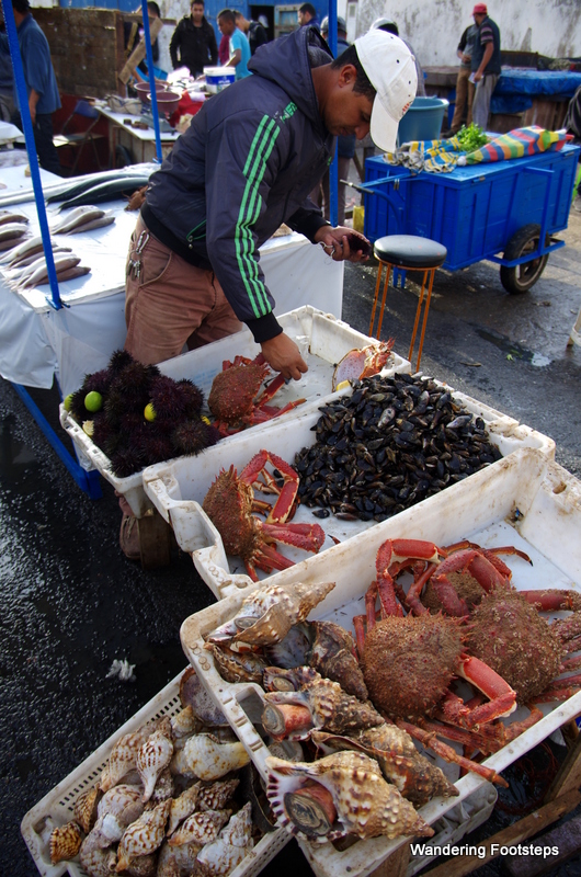 Just a few of the many fresh catches of the day at Essaouira's port.