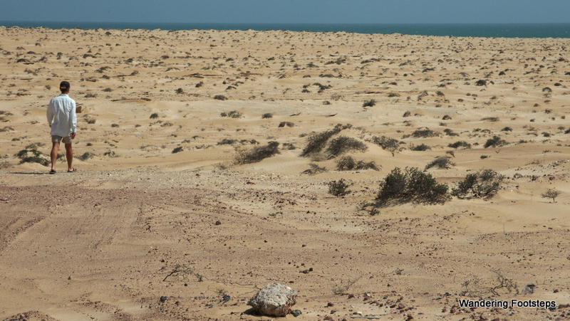 Sharquiya Sands is a big desert in Oman with sand dunes that reach all the way to the Arabian Sea.  