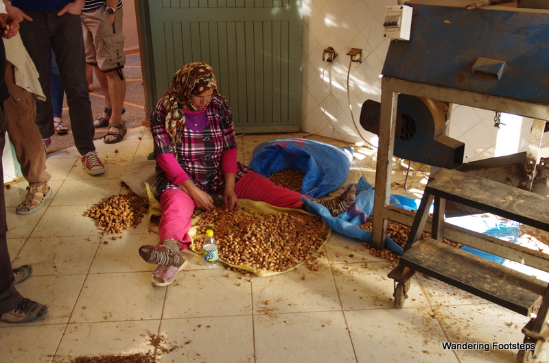 Removing the pulp from the argan nut.