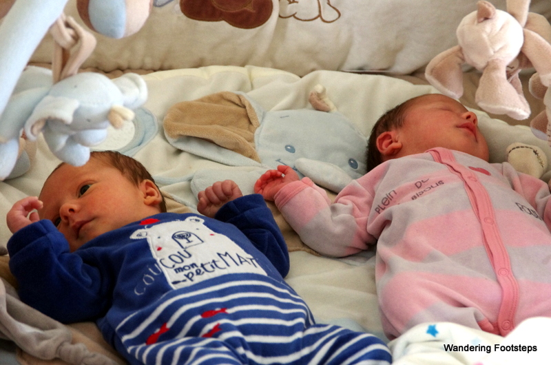 Welcome to the world Eden and Ava!  (Just over three weeks old).