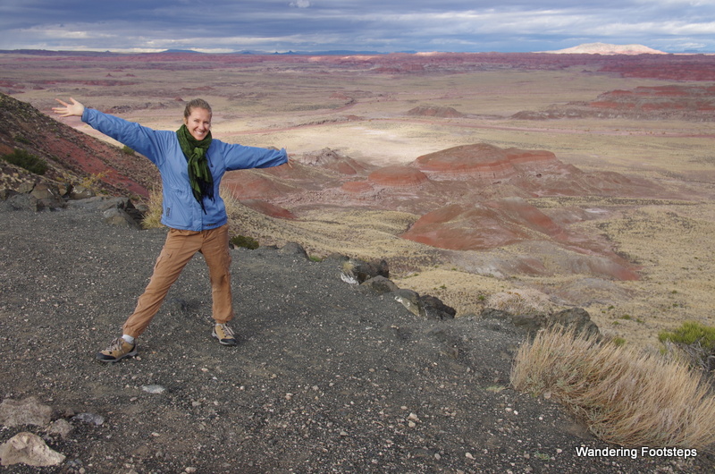 Petrified Forest National Forest - my first U.S. National Park!