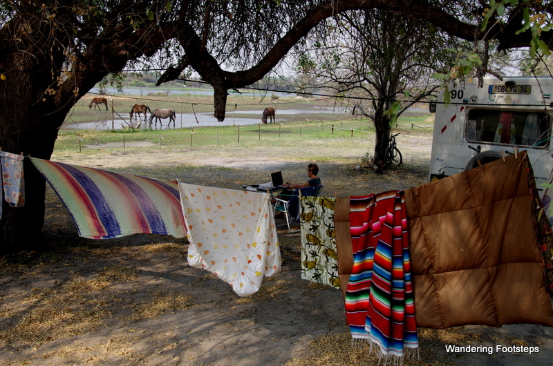 One of my earliest campsites with Totoyaya, in Botswana.