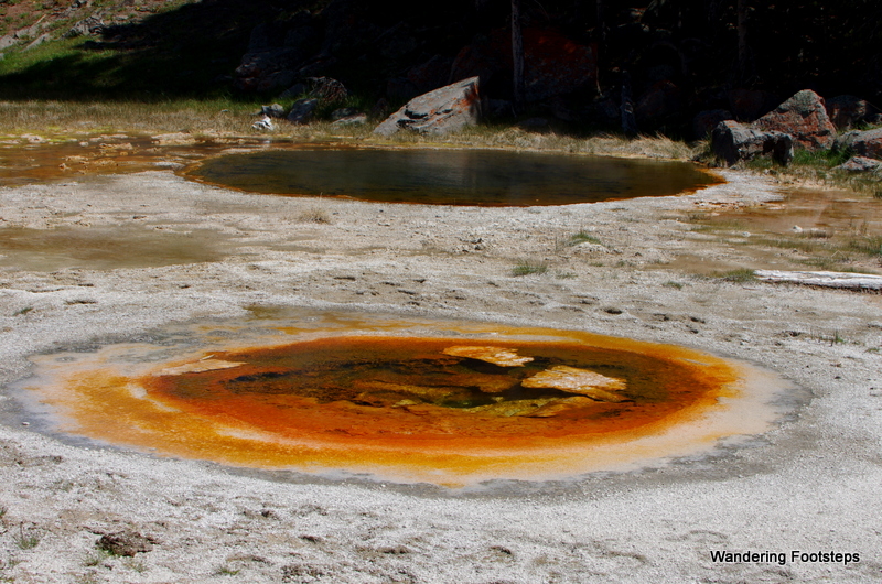 Yellowstone National Park and its hot springs, geysers, and crazy hydrothermal activity!