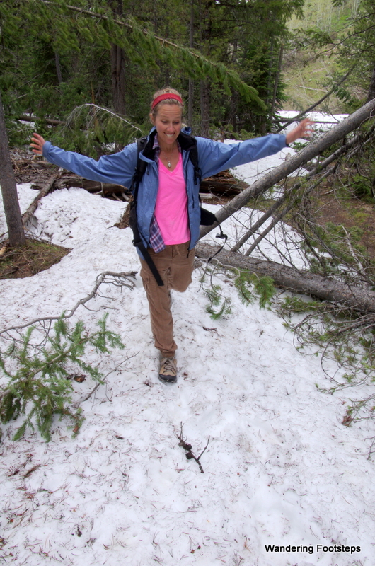 Our hike up to Signal Mountain was filled with dead branches, mud and snow!