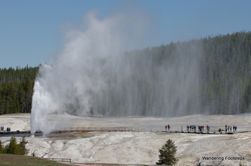 Nearby Beehive Geyser, erupting at the same time as Old Faithful!  