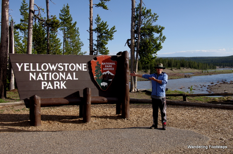Bruno finally made it to Yellowstone!
