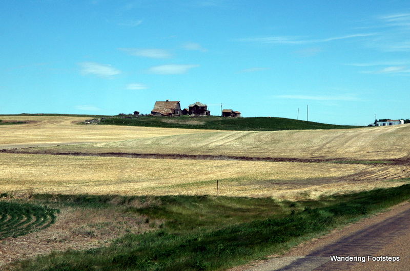 I even started to appreciate the ubiquitous agricultural landscape of the Prairies.