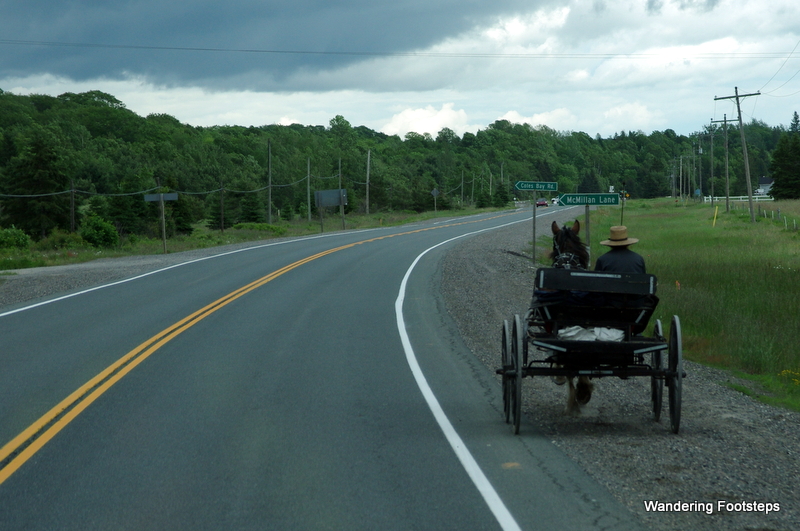 Mennonites shun motorized transportation and opt for horse-drawn carriage.