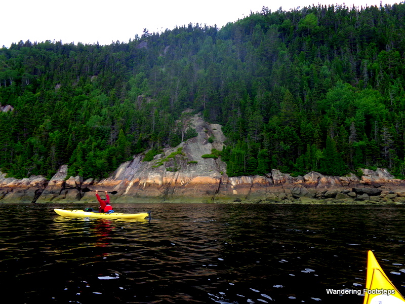 Navigating the fjord du Saguenay by kayak!