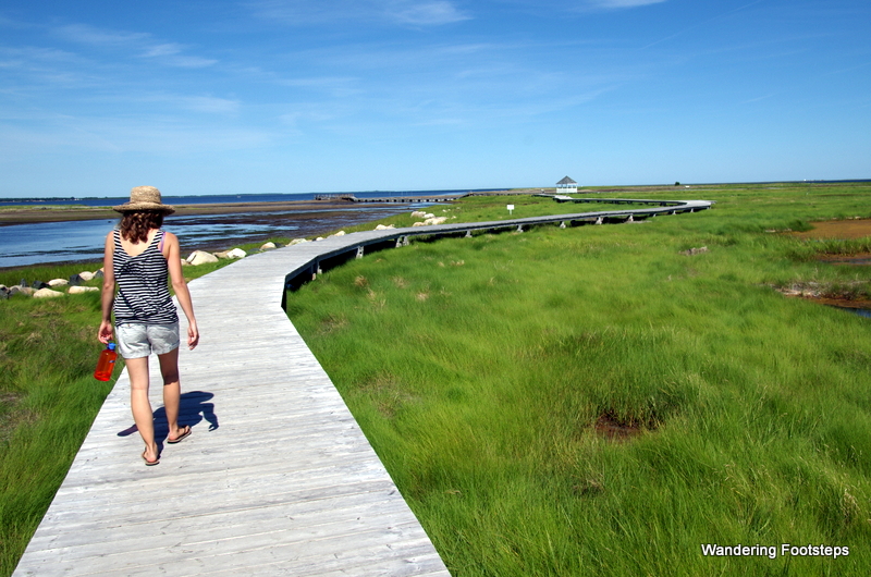 Flat boardwalks along wetlands.
