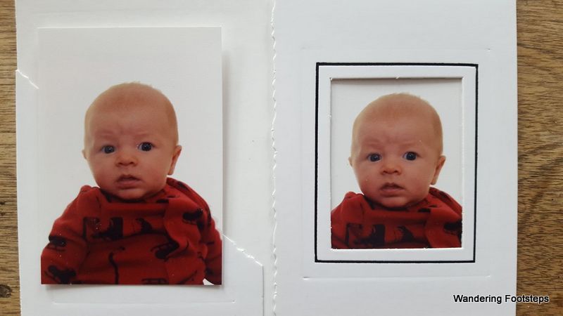 Phoenix got his passport photos taken at 6 weeks and now is the proud owner of a Canadian passport!